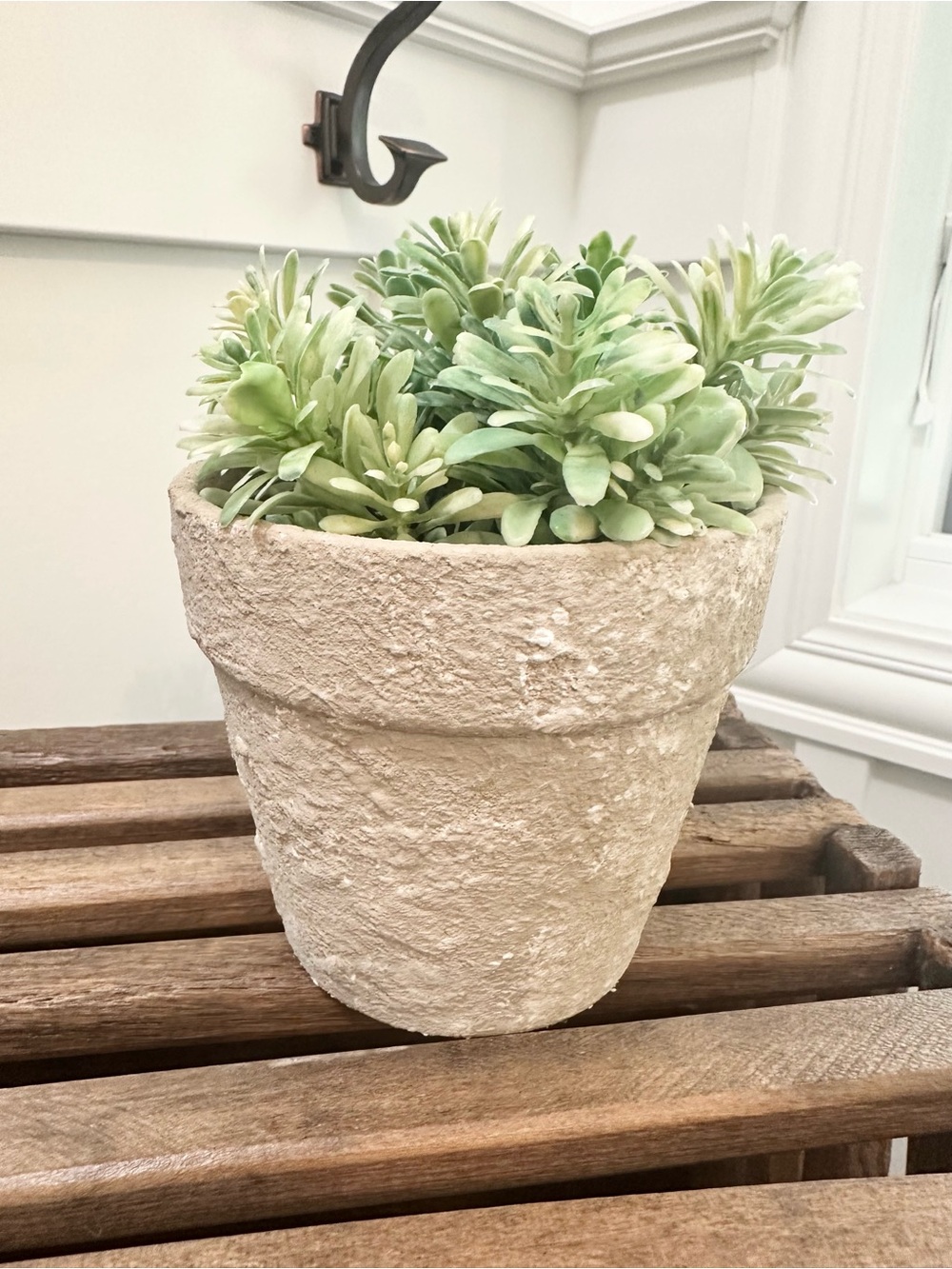 Neutral Textured Terracotta Weathered Planter Pot with Green Succulent Accent
